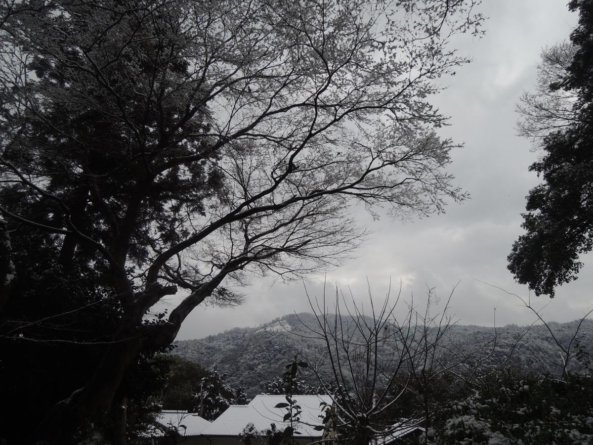 Ryokan Inn Yoshida-Sanso Kyoto Eksteriør billede